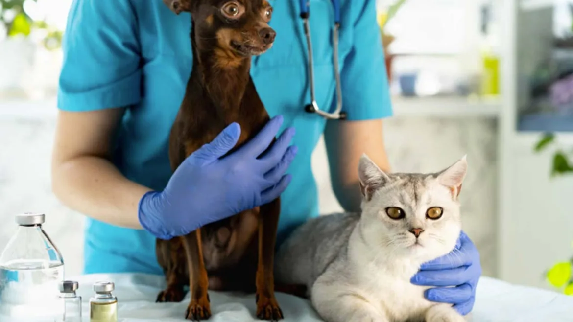 Kedi ve Köpek Sağlığı İçin Dikkat Etmeniz Gereken Önemli Konular